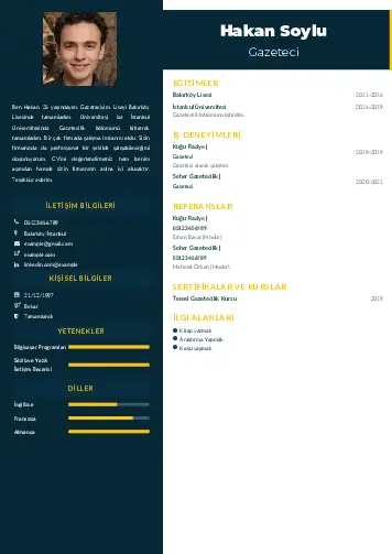 Gazeteci CV Örnekleri cv indir